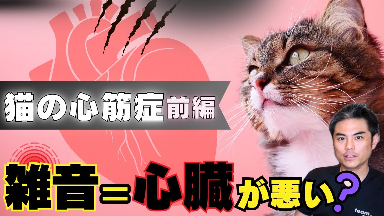 Murmur = heart problem!?] Cardiomyopathy, the most common heart