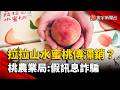 拉拉山水蜜桃盛產期滯銷？桃農業局：假訊息詐騙｜#寰宇新聞 @globalnewstw