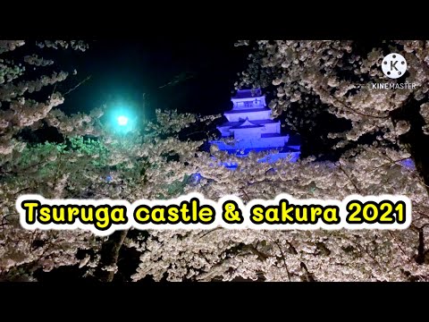 Tsuruga castle & sakura ปราสาทซึรุงะ 2021