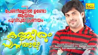 പരന ഈ മണണൽ ഉണട New Mappila Romantic Album Kanneerum Swapnangalum Shafi Kollam