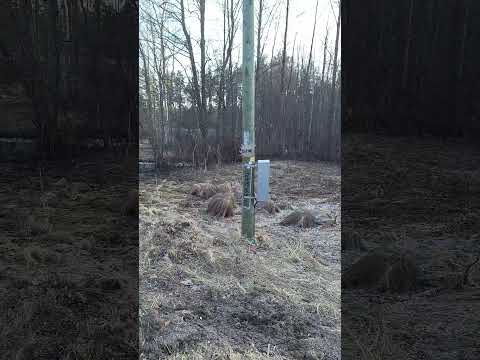 Место гибели Цоя.1 марта 2024 г.#цой #латвия
