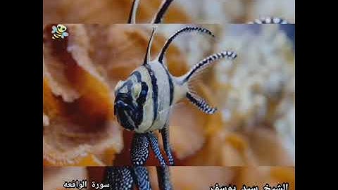 سورة الواقعة بروية ورش عن نافع