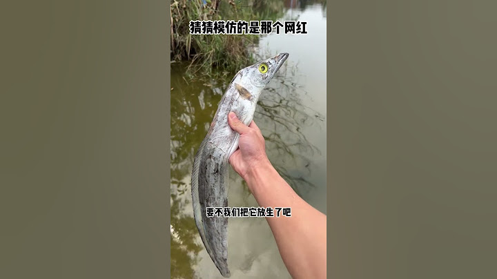 What did he eat?|Chinese Mountain Forest Life and Food #Moo TikTok #FYP
