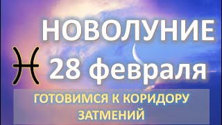:  |28 |   