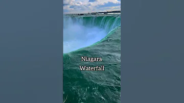 Niagara Waterfall Canada Shorts