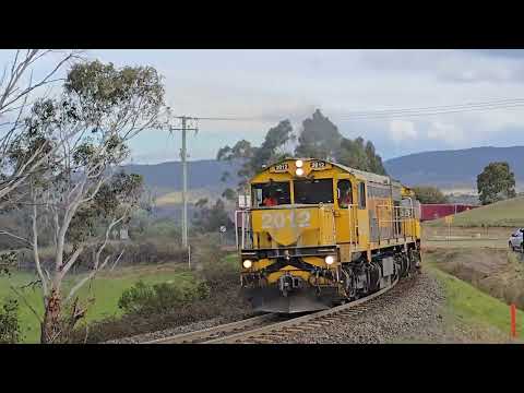 Tasrail North Bound Paper Train #532 Garland 2025 (DQ 2012 Leading)