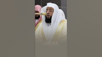 ﴿يَخْلُقُ ما يشاءُ﴾ .تلاوة من سورة الروم للشيخ #بدر_التركي  |