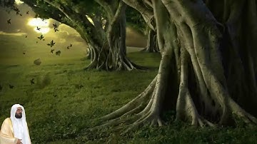 عبدالودود مقبول حنيف سورة الشورى كامله