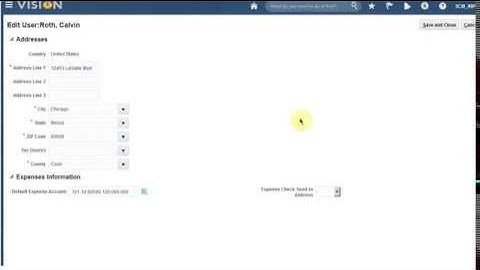 Fusion Manage User Expense Information