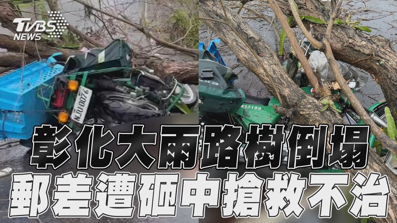 風停了卻出事！!高雄「2層樓高路樹」倒塌 買早餐被砸傷｜TVBS新聞 @TVBSNEWS01