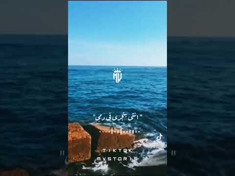قلبي بيرقص ويغني