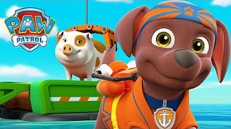Zuma's Pig Rescue!🐷 - PAW Patrol - Cartoons for Kids