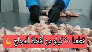 قطعنا ٢٠٠ كيلو من أفخاذ الدجاج ? We cut 200 kilos of chicken thighs ?