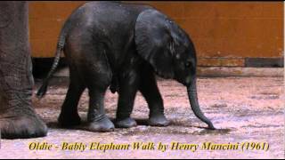 Oldie - Bably Elephant Walk by Henry Mancini (1961) screenshot 4