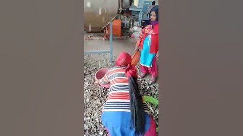 #beltconveyor #conveyor #conveyormanufacturerConveyor Feeding Material into Screening Machine #conv