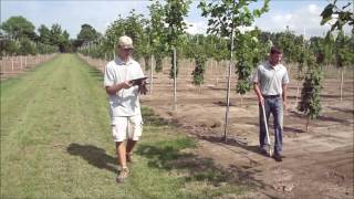Caliper Field Demonstration