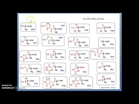 Vidéo: Fonctions Et Structure Des Protéines