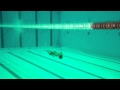 my underwater swim