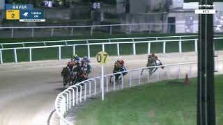 Vidéo de la course PMU PREMIO ELUSIVE QUALITY