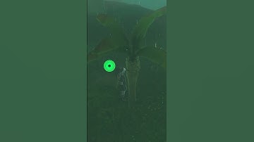 Top Combat Meal Recipe in BOTW: A Must-Try