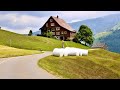 Driving in swiss   gubel wildhaus  one of the most beautiful village in switzerland 4k  2