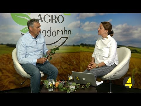 ,,AGROსექტორი\" სტუმარი: ზვიად ბობოქაშვილი 19 -09- 2018