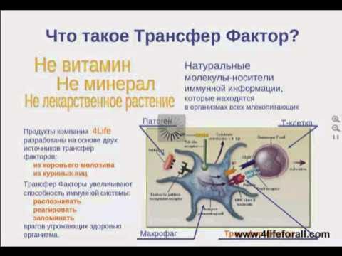 Фактор переноса трансфер фактор. Трансфер фактор. Трансфер факторы что это такое отзывы. Классик 4лайф. Иммуномодулятор фактор трансфер.