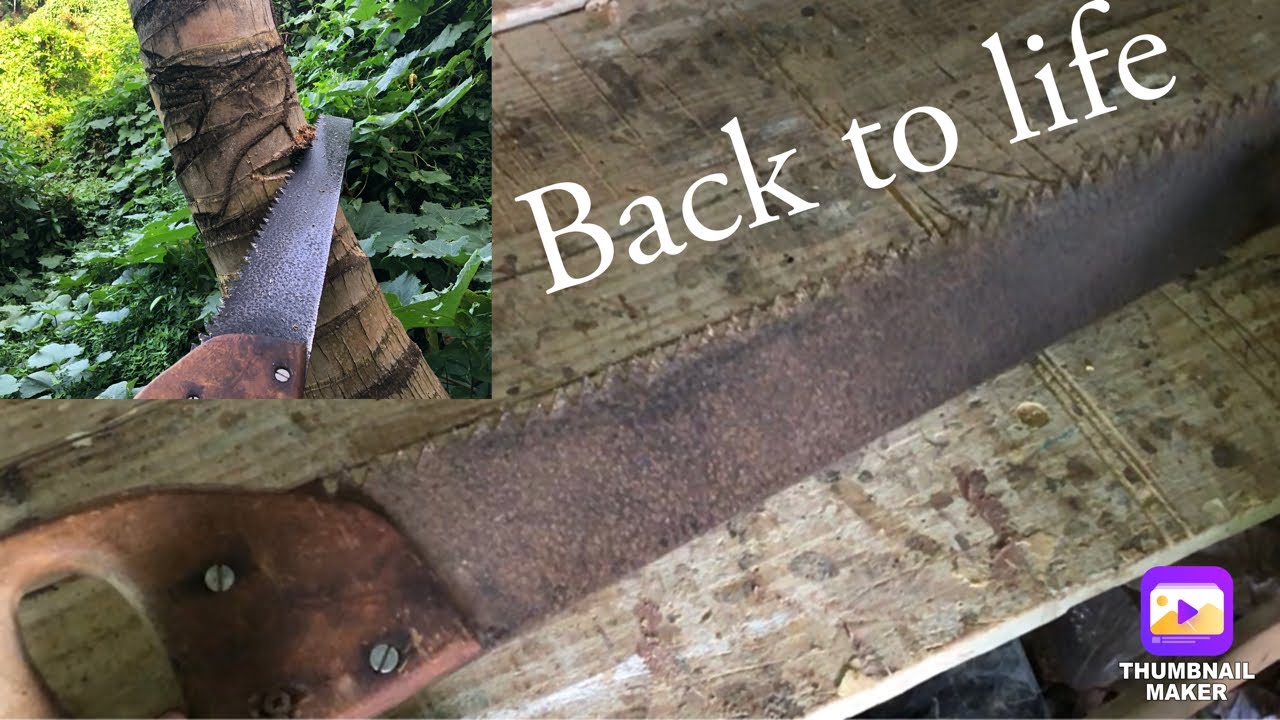 Restoring old huge crosscut saw YouTube