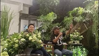 Ariel NOAH Diumumkan Jadi Dilan di Film Dilan 1997 dan Dilan Amsterdam 