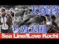 【ちぬフカセ大爆釣】ここのポイントはまじで天国!【シーライン釣果ノート41】Ocean fishing