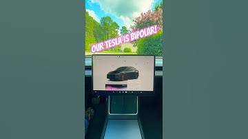 Tesla GrokAi UNHINGED en Therapeutmodus 🤪🤯 #tesla #shorts #fyp #grok #ai