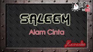 Saleem Alam Cinta Karaoke No Vocal