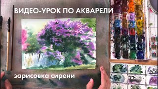 видео: Как нарисовать сирень акварелью? картинка: Как нарисовать сирень акварелью?