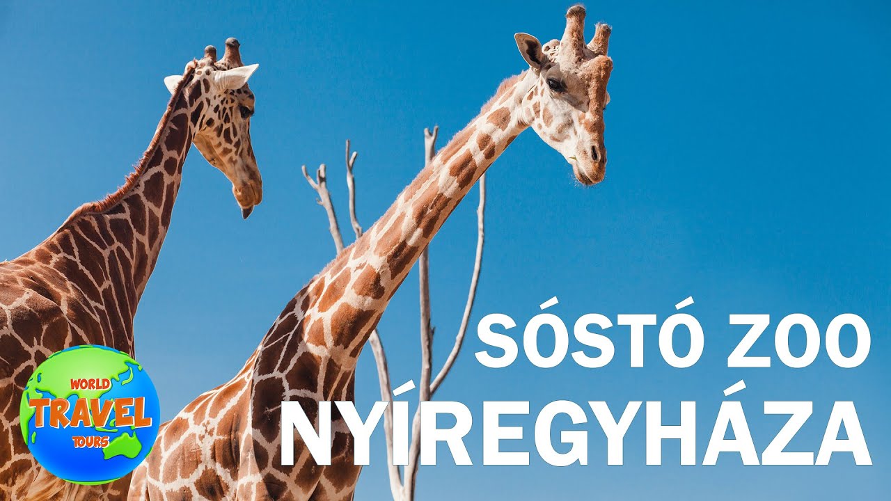 Zoo Nyíregyháza 🇭🇺