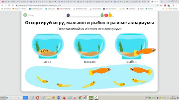Развитие и размножение рыб, земноводных и пресмыкающихся/ Окружающий мир 3 класс. Алиса Ридель