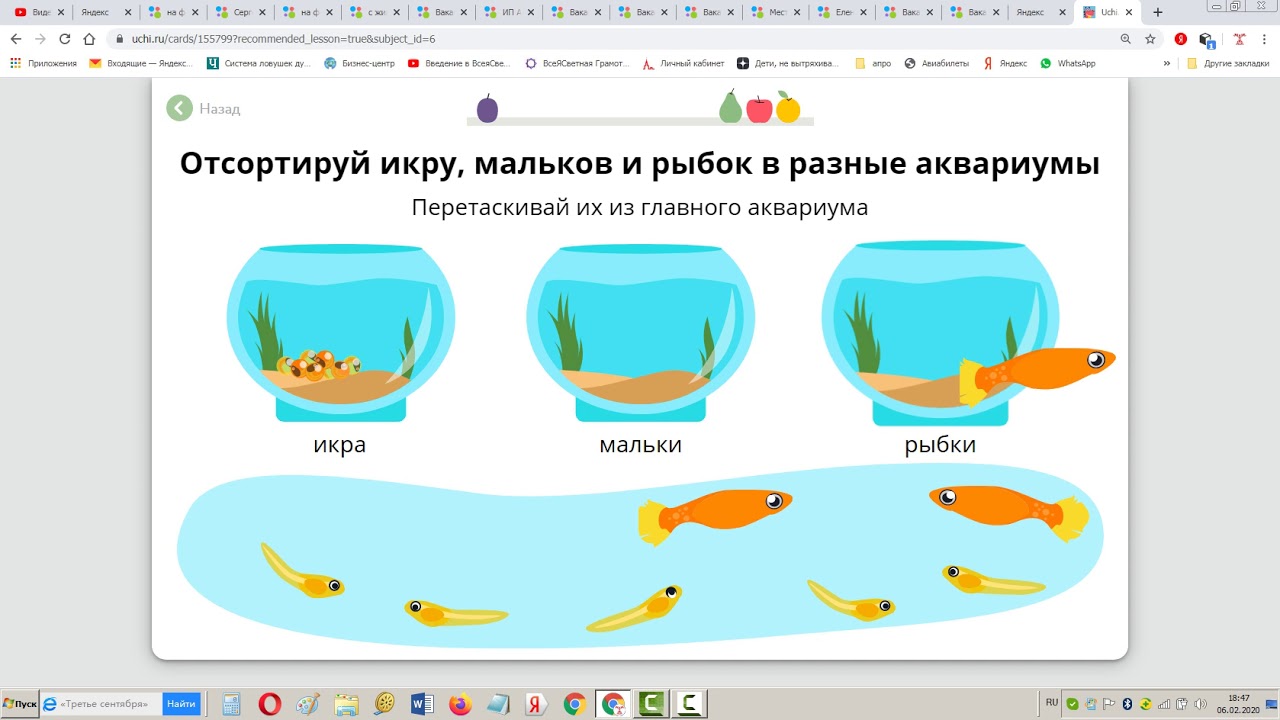 Развитие и размножение рыб, земноводных и пресмыкающихся/ Окружающий ...