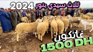 سوق ثلاث سيدي بنور بالدكالة رحبة الخروف آلعيد الأضحى المبارك 2024 حولي صردي غاتكون 1500 درهم 2024