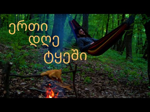 ერთი დღე ტყეში / One Day Forest