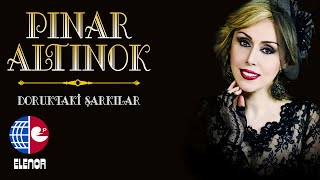 PINAR ALTINOK-VAY SÜRMELİ SÜRMELİ Resimi