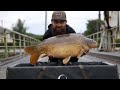 Urban carp fishing in france with david dauchy