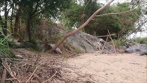 Câu Cá Sông Krông Năng 2020