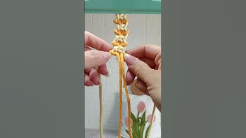 Macrame pattern.Many videos of macrame tutorials here.#macrame #knot  #编绳教程