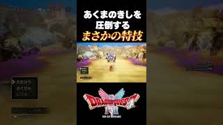An unexpected skill that overwhelms even the powerful and wise Demon Knight [Dragon Quest I & II ...