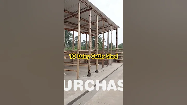 Watch full video on our YouTube channel.