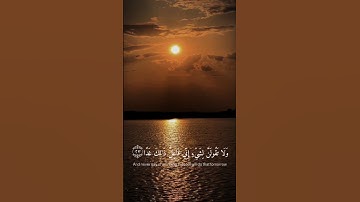 ولا تقولن لشيء إني فاعل ذالك غداً... القارئ: إسلام صبحي.. تفاعلكم لكل جديد بلمتابعه ➕ ولايك 👍🏻..