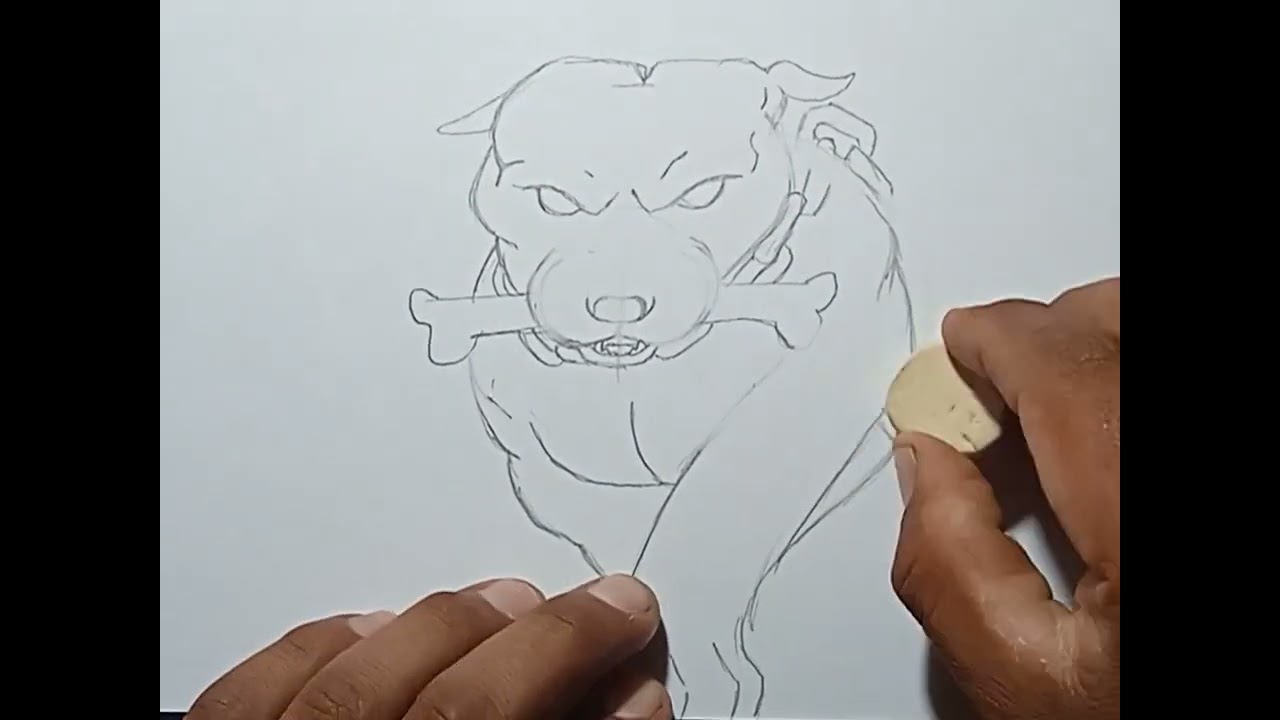 cómo dibujar un perro pitbull con lápices de grafito - thptnganamst.edu.vn