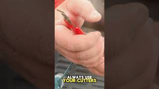 ONE Plug Revolutionizes Christmas Light Installation Profile