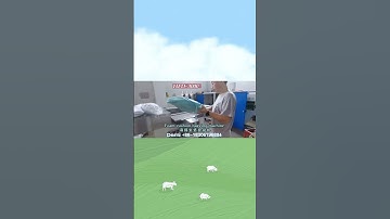 Foam cushion compression and bagging filling machine #packing