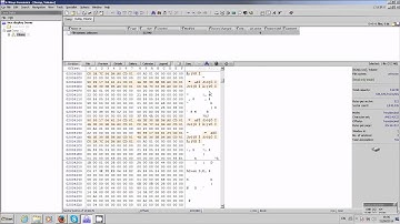 Substitute 0x20 In the Hex Pane of X-Ways Forensics