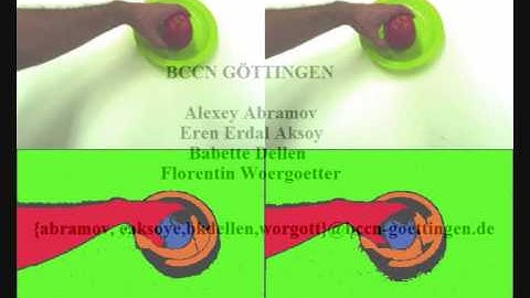 Stereo video segmentation